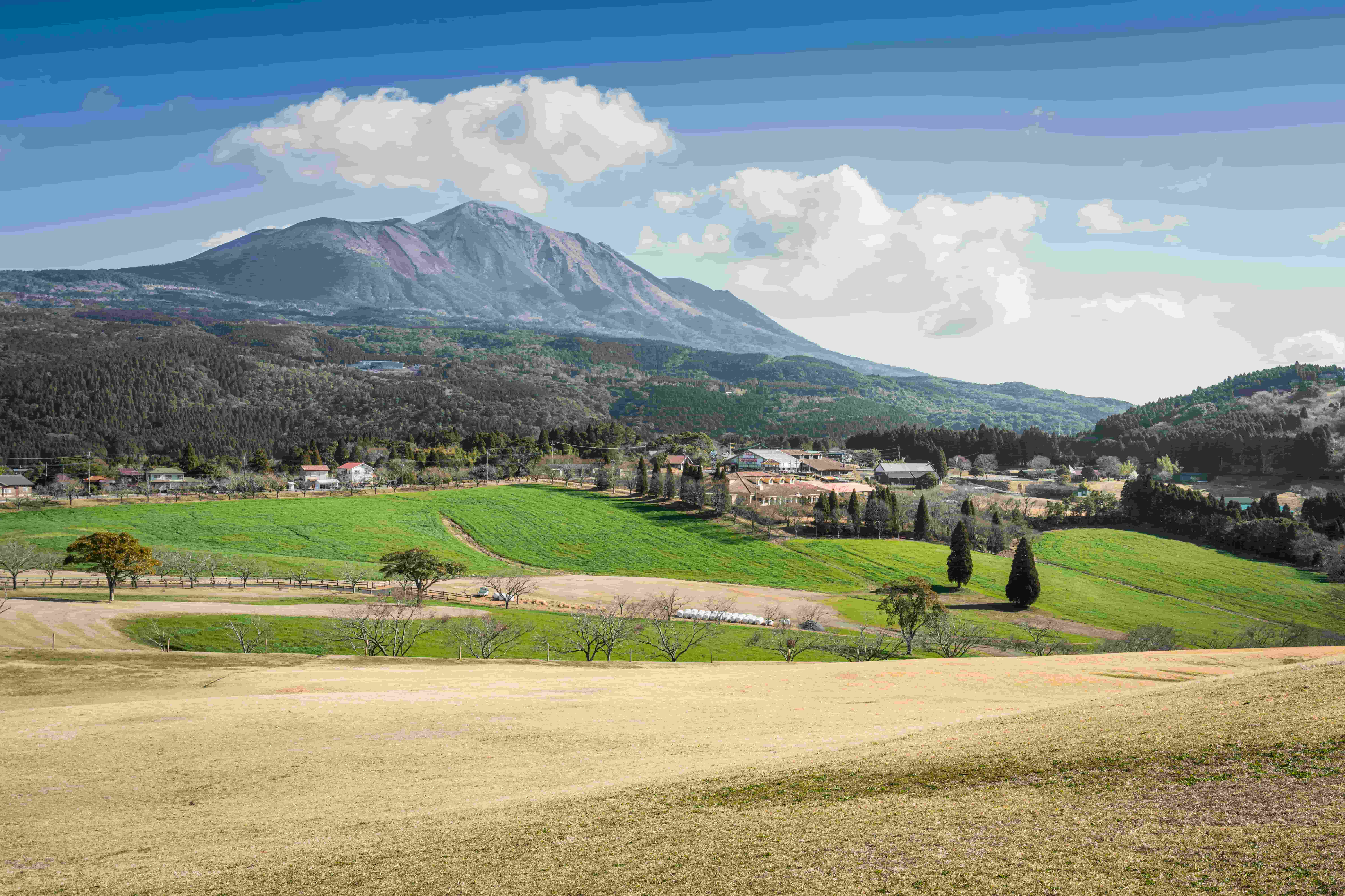 B439s「春日大社鹿角香合」木遊軒一丘造一司作　共袋(一丘)共箱(一丘一司銘) ISSEY MIYAKE 三宅一生BAOBAO LUCENT BOXY 4x4 金屬感皮質幾何手提托特